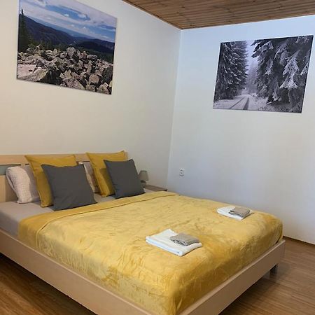Appartement U Kubinu à Jáchymov Extérieur photo