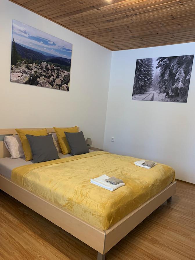 Appartement U Kubinu à Jáchymov Extérieur photo